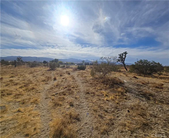 a view of a field with trees in the background
