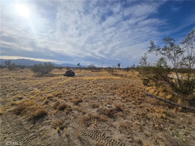 a view of a large body of water with lots of trees in the background