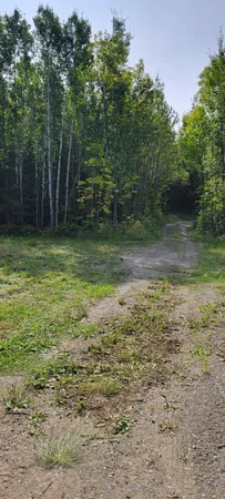 $229,000 | 1697 Town Road 112, Baudette, MN 56623