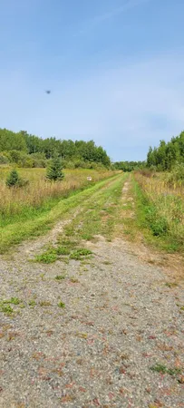 $229,000 | 1697 Town Road 112, Baudette, MN 56623