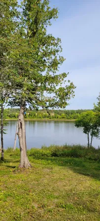 $229,000 | 1697 Town Road 112, Baudette, MN 56623