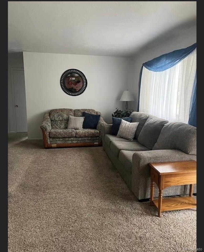 3905 Nelson Street Wheat Ridge, CO 80033 - Photo 6 of 30 Gallery Image 6