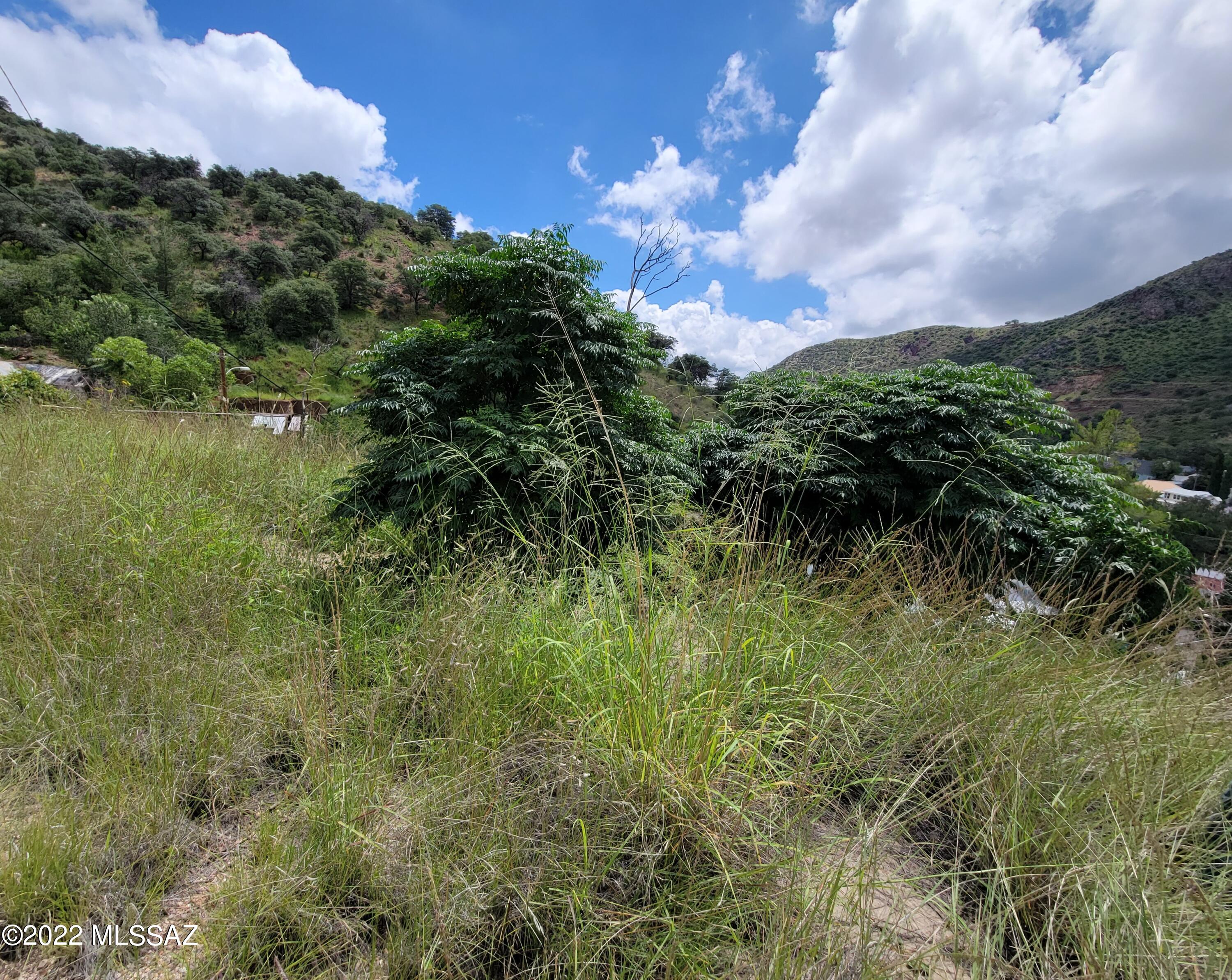 Bisbee Road Bisbee, AZ 85603 - Photo 1 of 11
