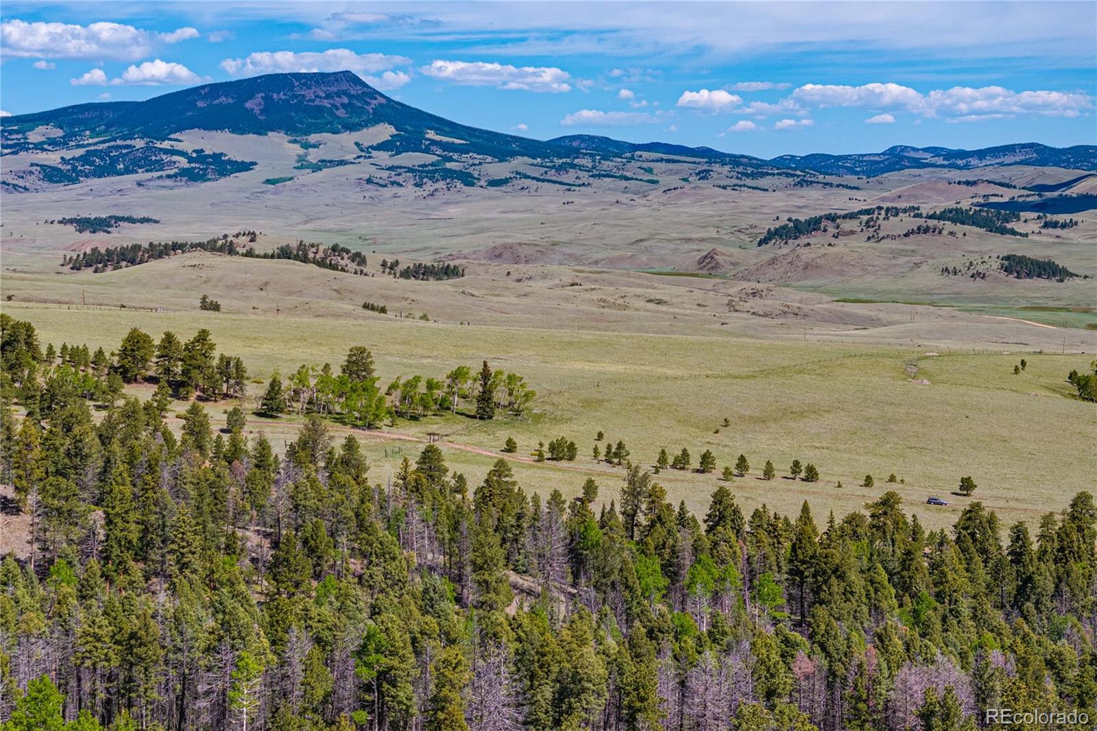 298 Steven Road Canon City, CO 81212 - Photo 12 of 35