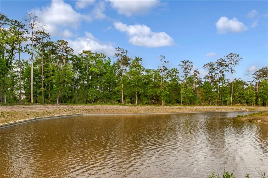 Lot 142-1825 Delta Trail Covington, LA 70433 - Photo 18 of 20