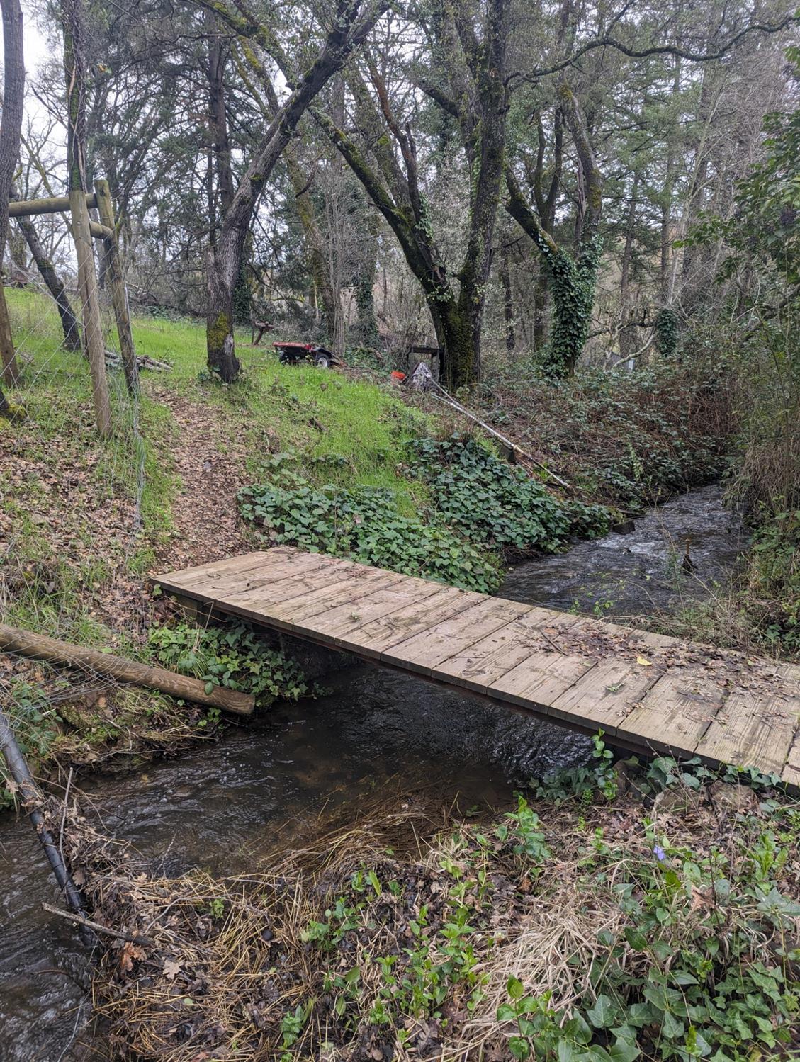 0 Millertown Road Auburn, CA 95603 - Photo 12 of 21 a view of a yard with plants and trees