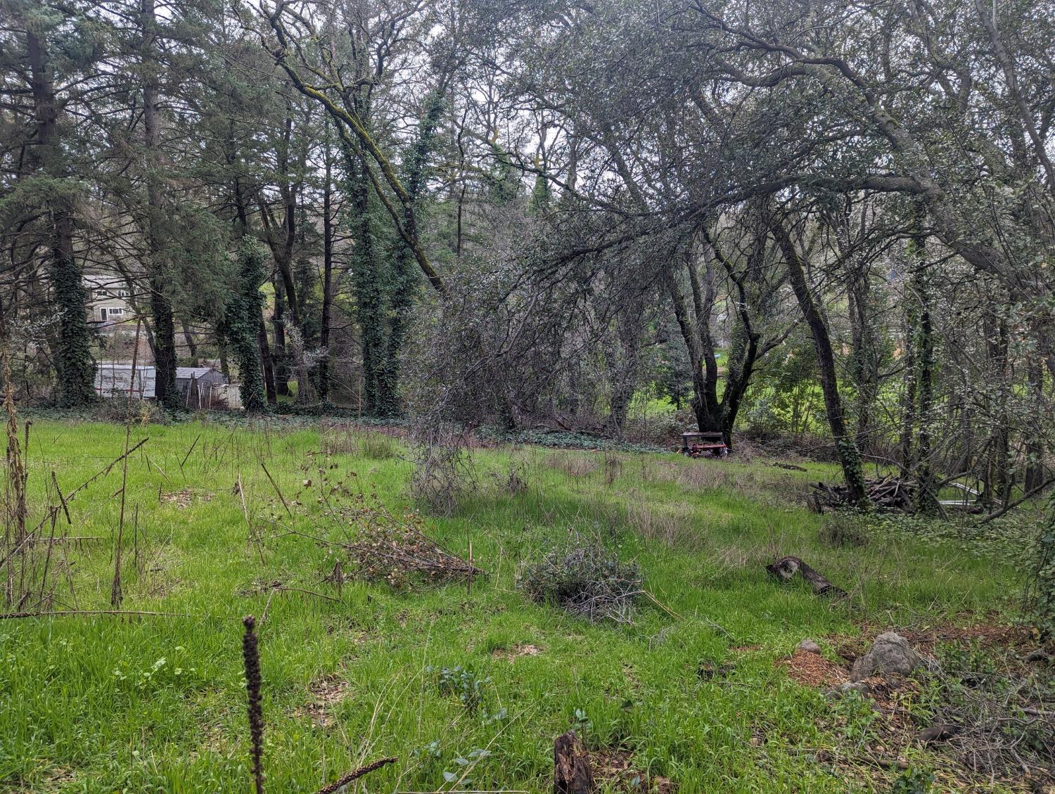 0 Millertown Road Auburn, CA 95603 - Photo 5 of 21 a view of a field with trees