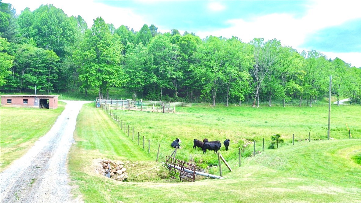 1315 Irwin Grocery Road Laurel Springs, NC 28644 - Photo 21 of 22 a view of a swimming pool with a garden