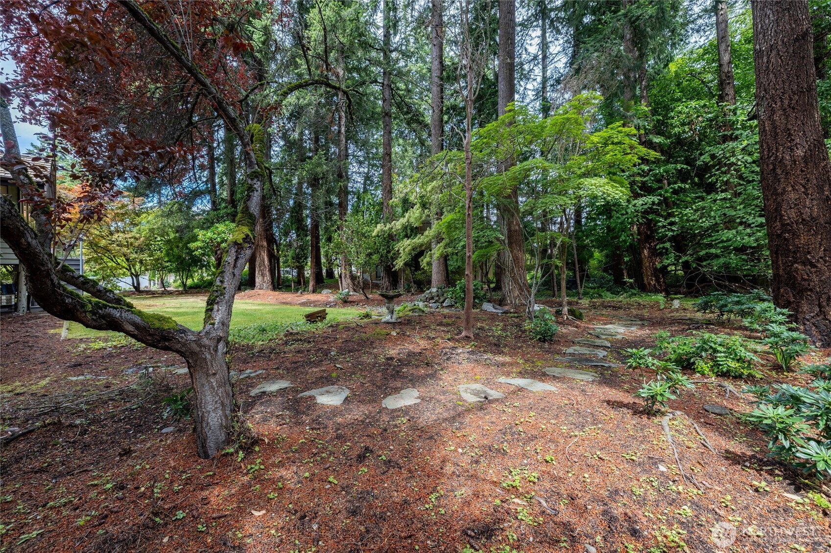 601 Clark Road Bellingham, WA 98225 - Photo 35 of 38 a view of outdoor space with trees