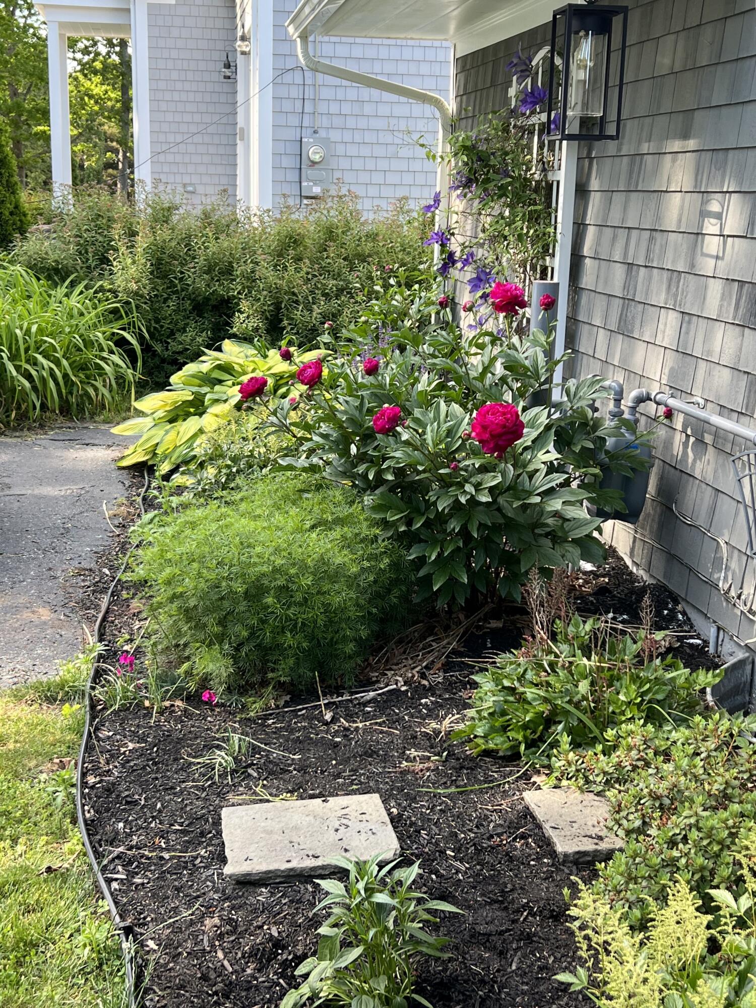190 Pine Lane Osterville, MA 02655 - Photo 32 of 39 a view of a garden with flowers