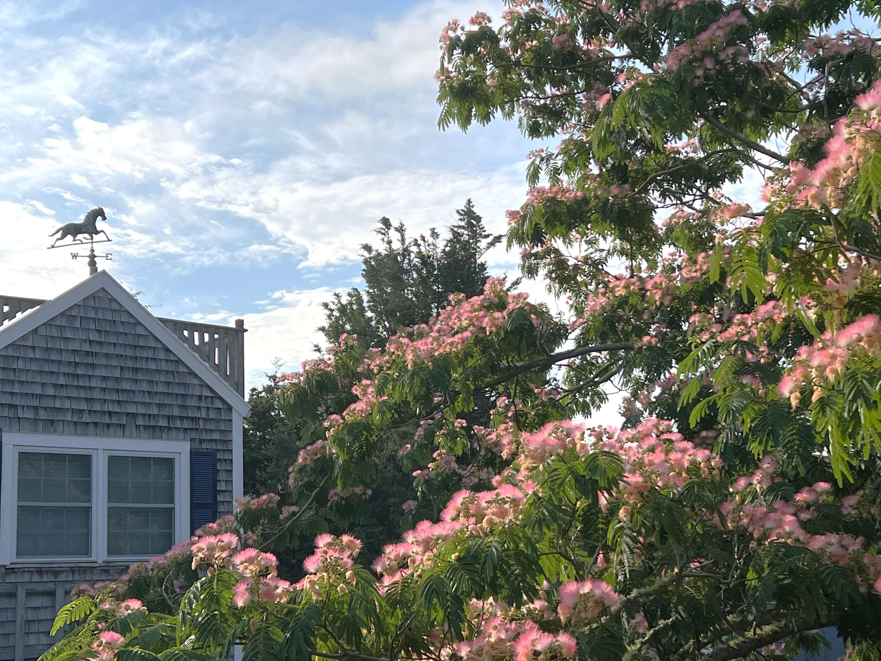 190 Pine Lane Osterville, MA 02655 - Photo 35 of 39 a front view of a house with a yard and flowers