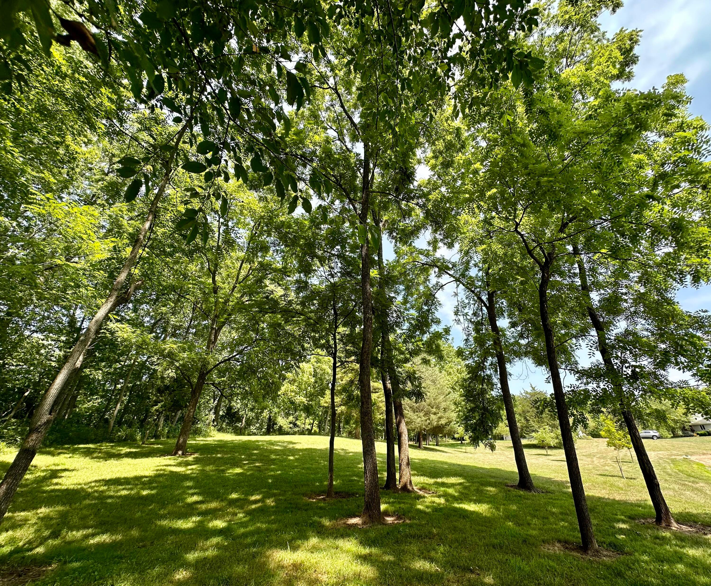 7540 Limes Road, Unit SE Greenfield, OH 45123 - Photo 49 of 66 IMG_6993