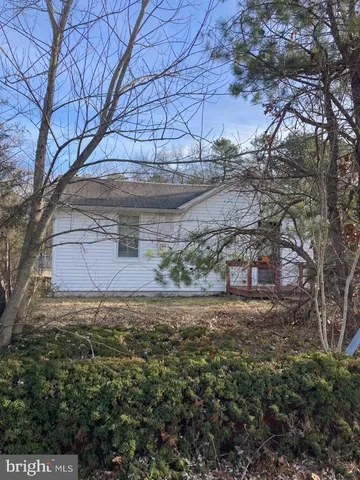 a view of a yard with large trees