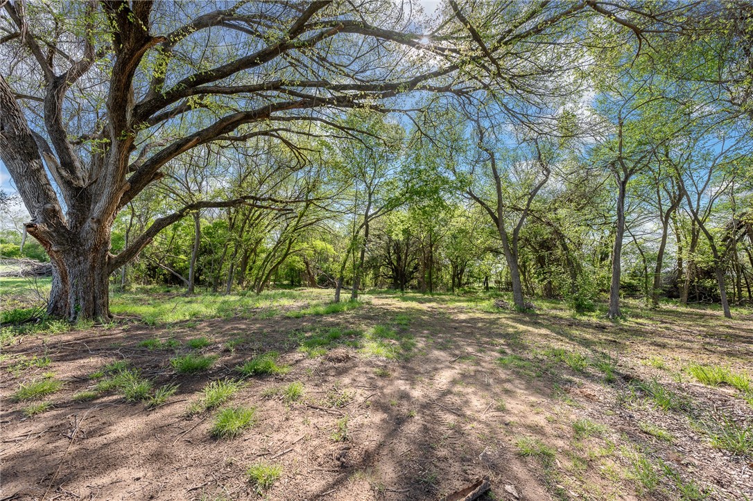 1351 River Road Waco, TX 76705 - Photo 68 of 96 a view of a yard with a tree