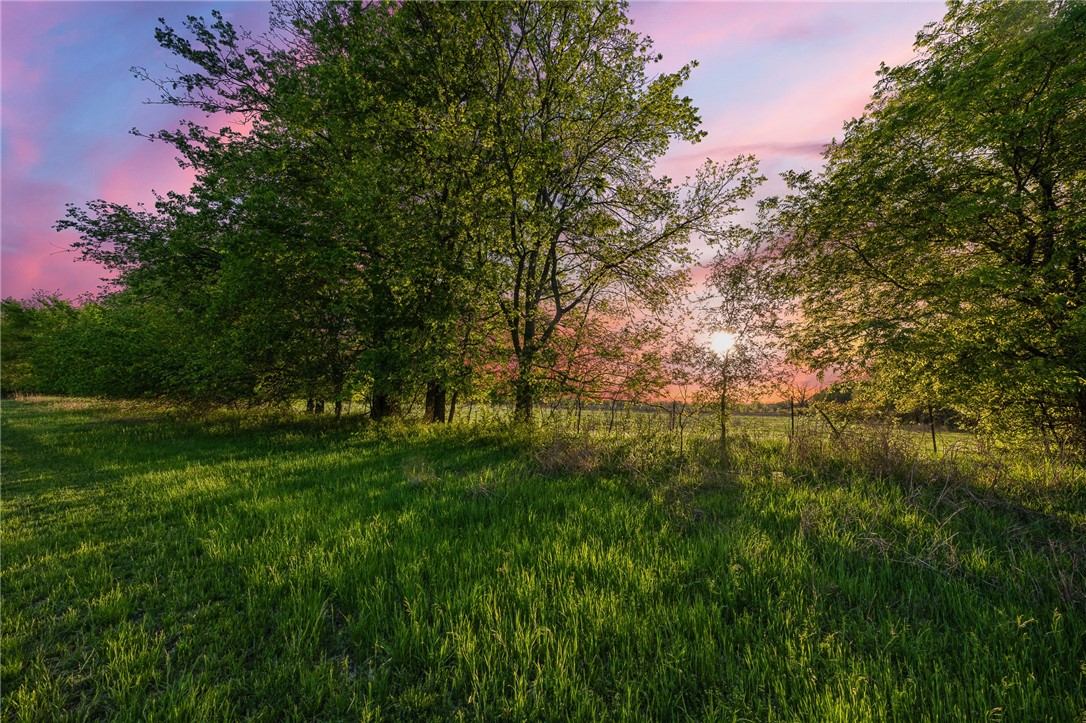 1351 River Road Waco, TX 76705 - Photo 77 of 96 a view of backyard with green space