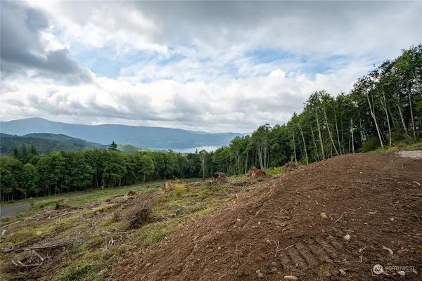 a view of a backyard of the house