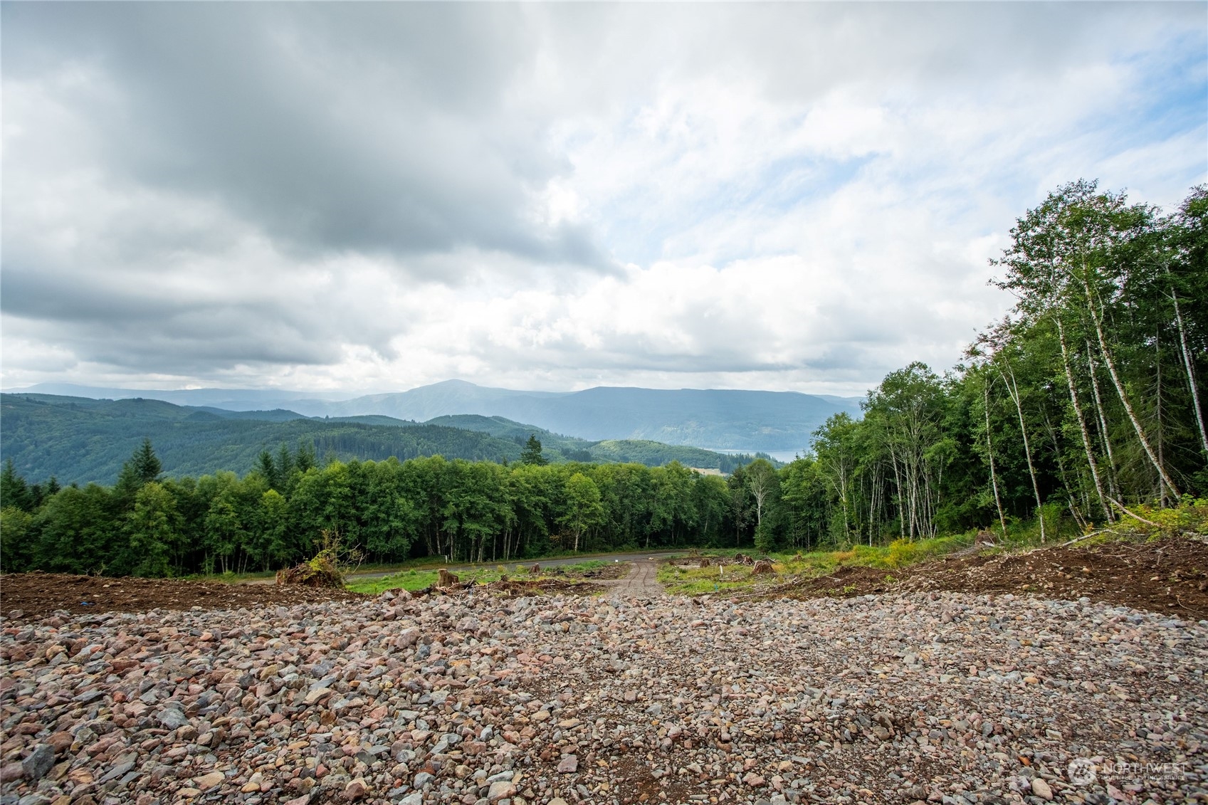 347 Short Road Morton, WA 98356 - Photo 2 of 16 a view of a yard with plants and a trees