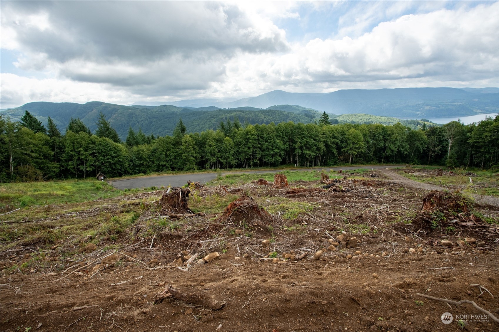 347 Short Road Morton, WA 98356 - Photo 3 of 16 a view of a dry yard with green space