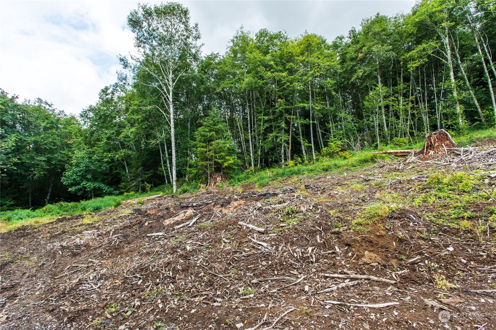 347 Short Road Morton, WA 98356 - Photo 5 of 16 a view of a backyard