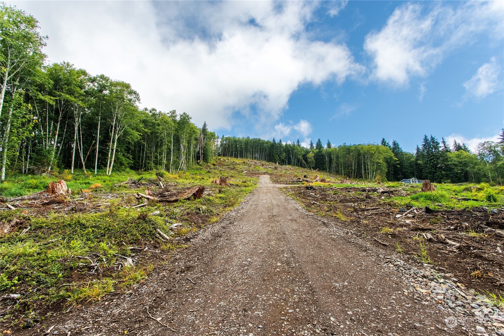 347 Short Road Morton, WA 98356 - Photo 6 of 16 a view of outdoor space with green space