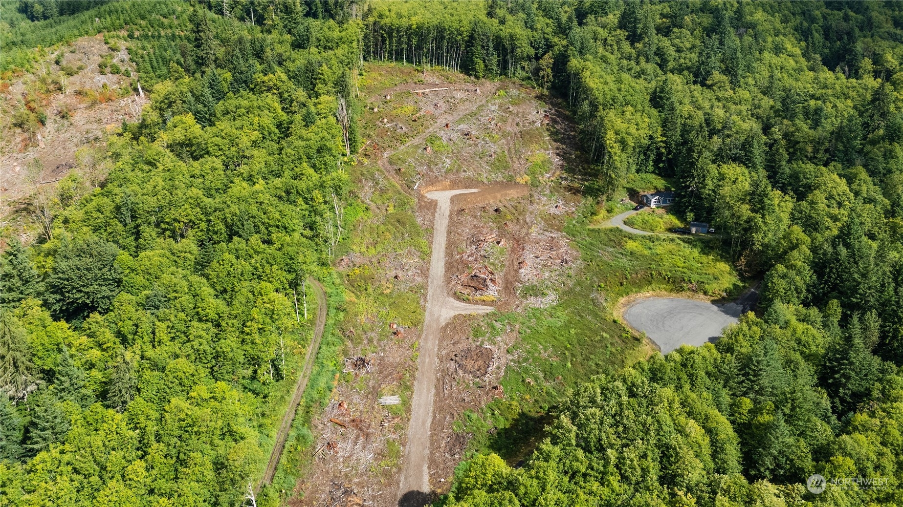 347 Short Road Morton, WA 98356 - Photo 8 of 16 a view of a yard with plants and large trees