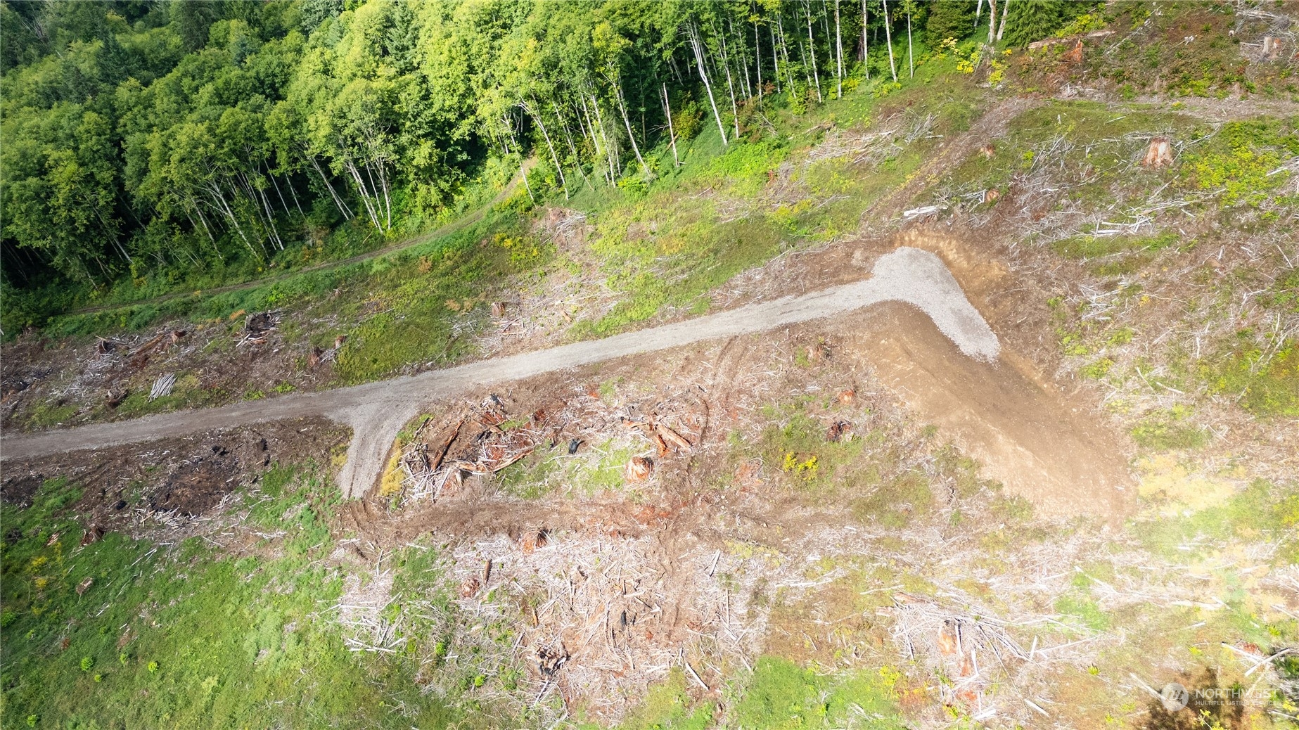 347 Short Road Morton, WA 98356 - Photo 9 of 16 a view of a garden with a pathway