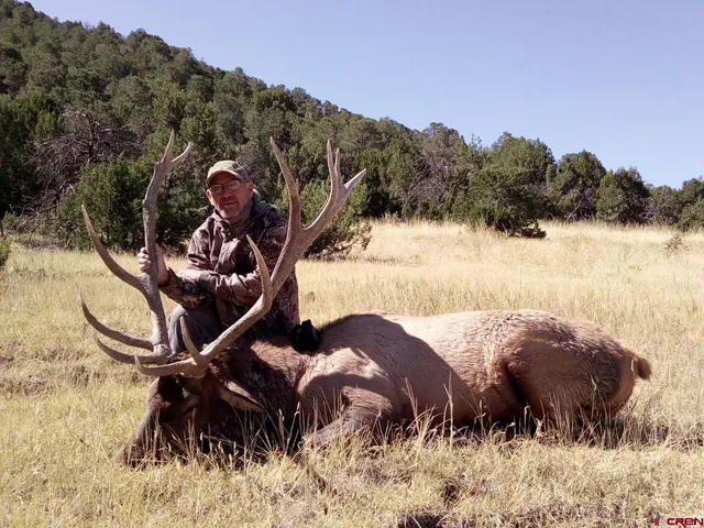 a picture of a room with a rug
