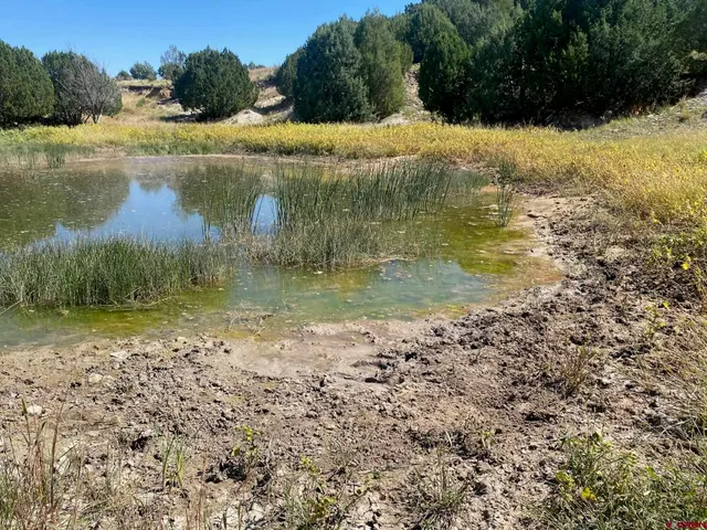 a view of a ocean beach