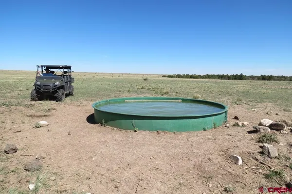 wooden floor in an empty room with a fireplace