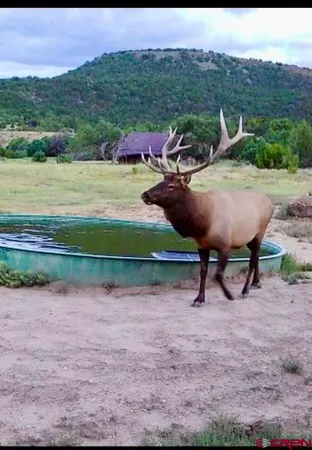 $6,995,000 | 12630 County Road 175, Unit TOBE CREEK MESA RANCH, Kim, CO 81049