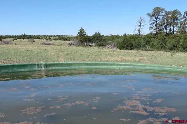 a view of a floor to ceiling window and outdoor space