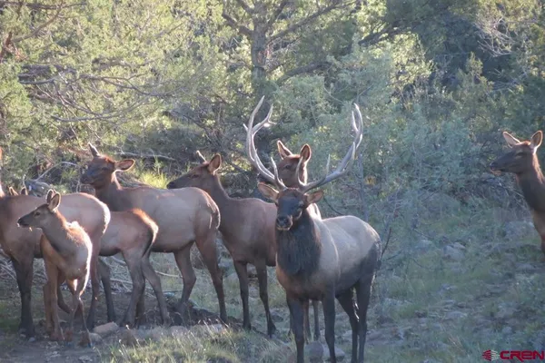 $6,995,000 | 12630 County Road 175, Unit TOBE CREEK MESA RANCH, Kim, CO 81049