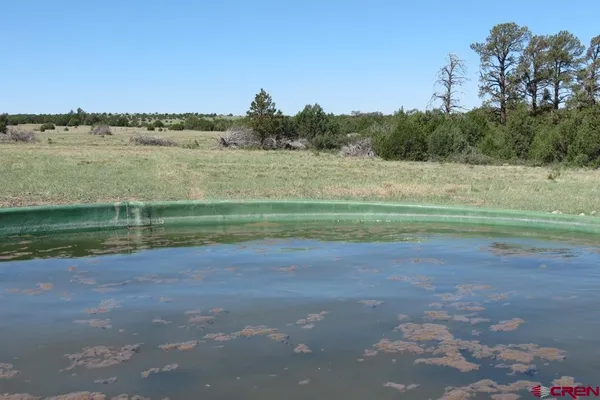 $6,995,000 | 12630 County Road 175, Unit TOBE CREEK MESA RANCH, Kim, CO 81049