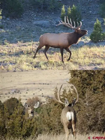 $6,995,000 | 12630 County Road 175, Unit TOBE CREEK MESA RANCH, Kim, CO 81049