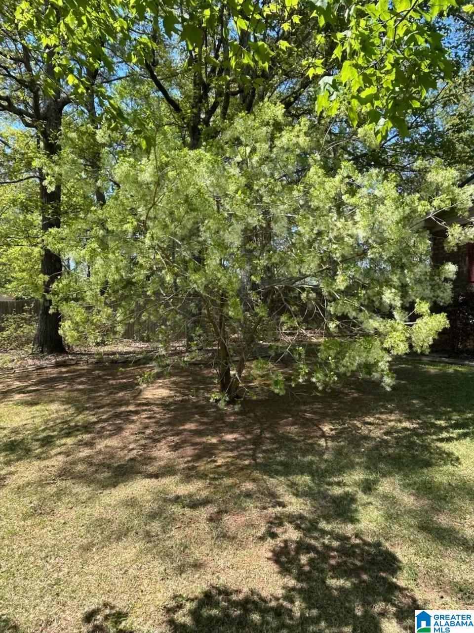 55 Benton Road Jacksonville, AL 36265 - Photo 38 of 42