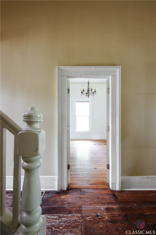 564 Pulaski Street Athens, GA 30601 - Photo 4 of 24 Gallery Image 4