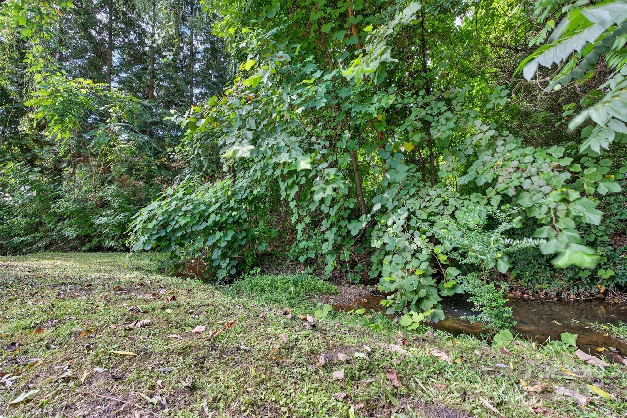 160 East Howard Street Tryon, NC 28782 - Photo 39 of 48