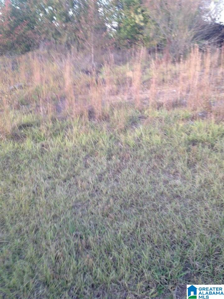 1250 11th Way, Unit 57 Pleasant Grove, AL 35127 - Photo 1 of 1