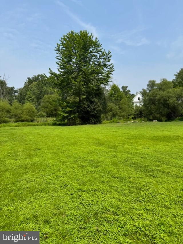 85 Valley Road, Unit 3 Phoenixville, PA 19460 - Photo 26 of 34 a view of a green field with a tree in the background