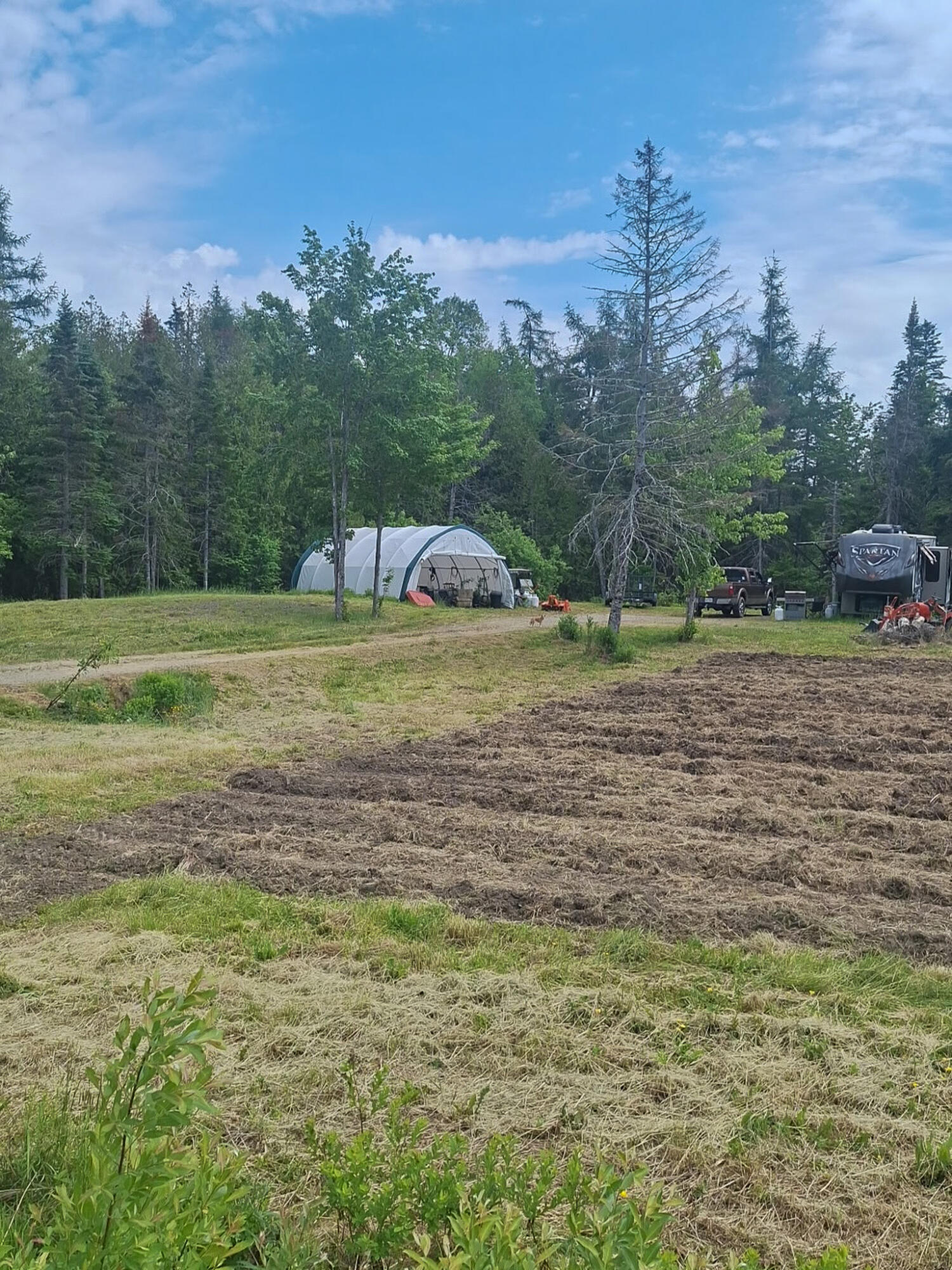 M3-l19 Cross Road Dennysville, ME 04628 - Photo 3 of 12 7766990962613030695
