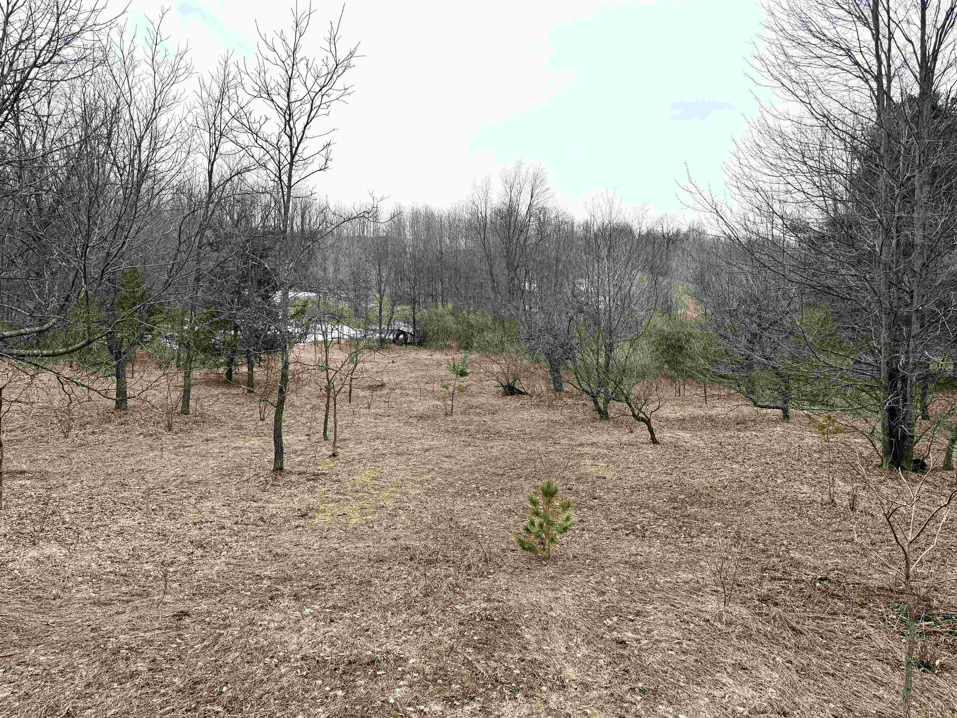 0 East Darga Road Cedar, MI 49621 - Photo 23 of 23