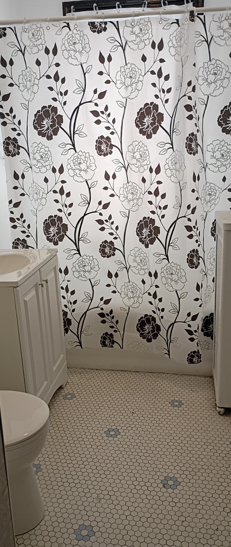 6841 South Prairie Avenue, Unit 1 Chicago, IL 60637 - Photo 5 of 9