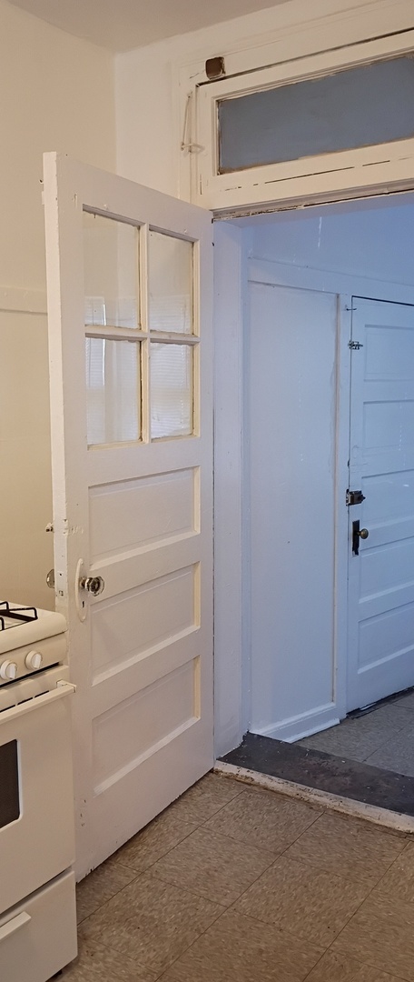 6841 South Prairie Avenue, Unit 1 Chicago, IL 60637 - Photo 7 of 9