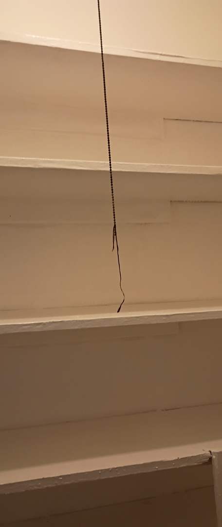 6841 South Prairie Avenue, Unit 1 Chicago, IL 60637 - Photo 8 of 9