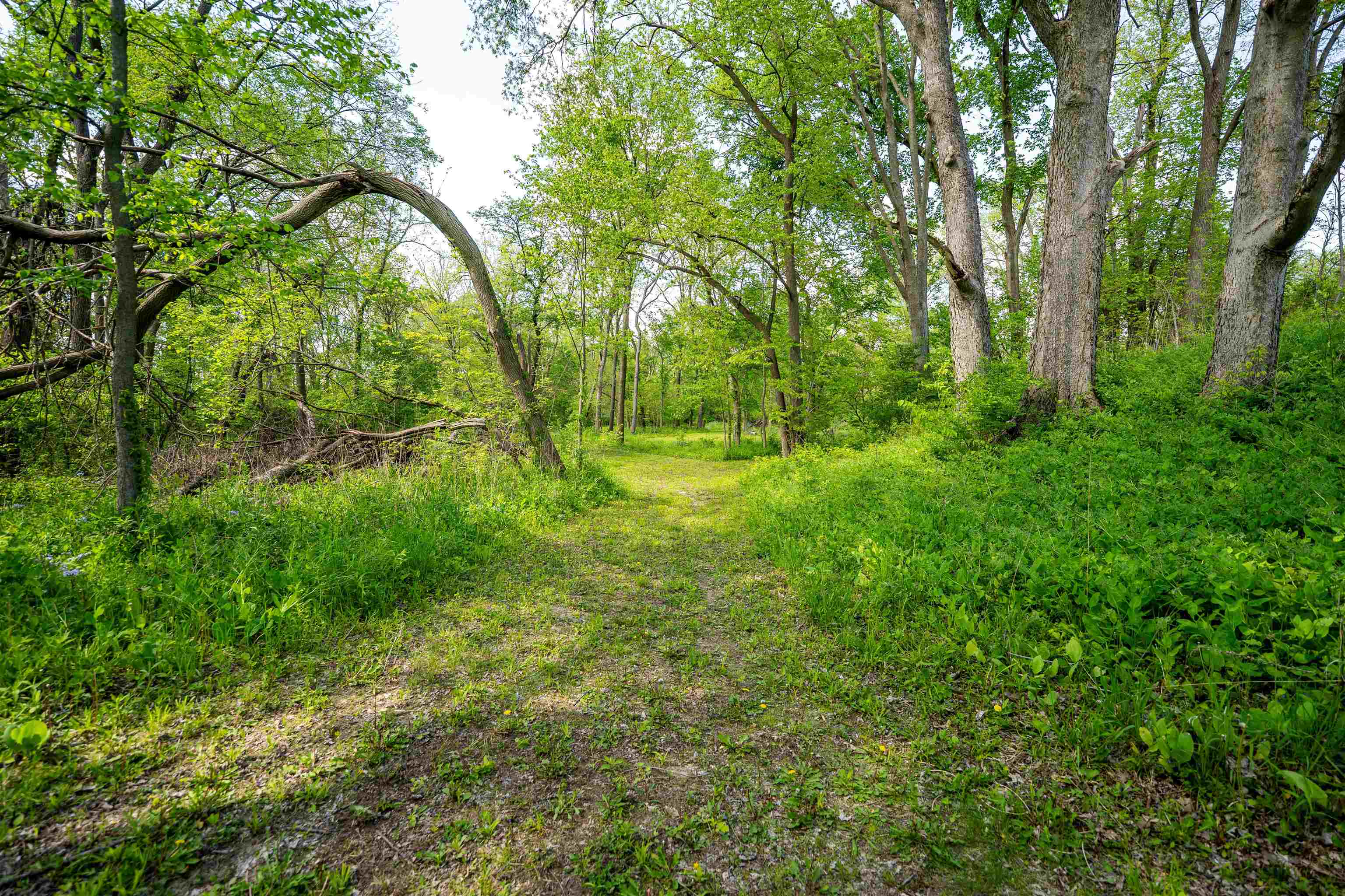 911.5 Melugins Grove Road Compton, IL 61318 - Photo 46 of 64