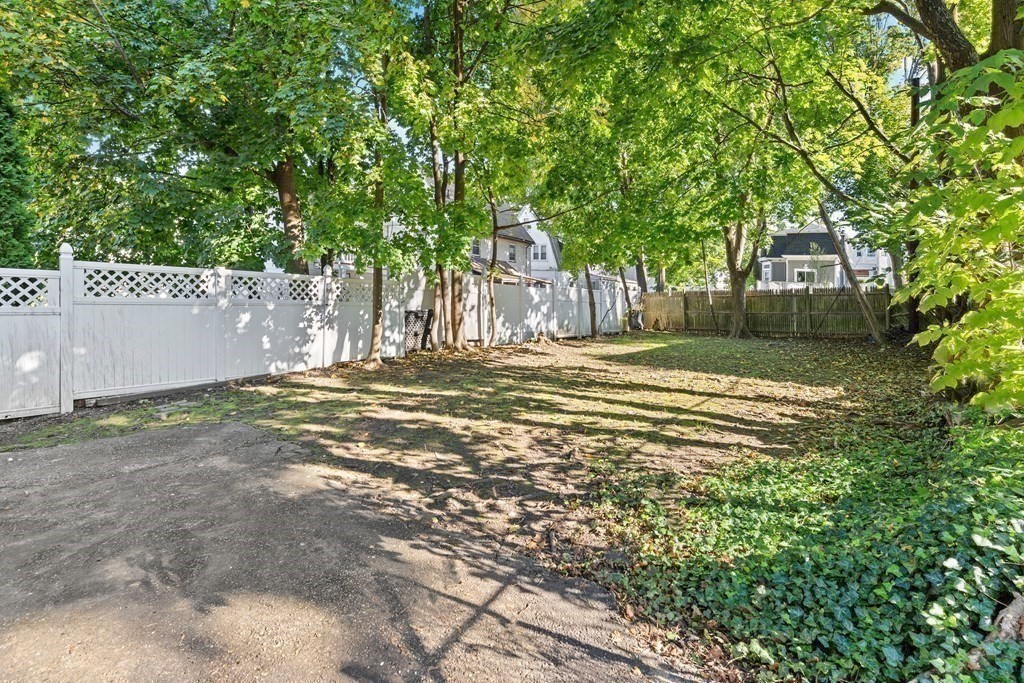 27 Bailey Street Boston, MA 02124 - Photo 15 of 35 a view of a yard with large trees