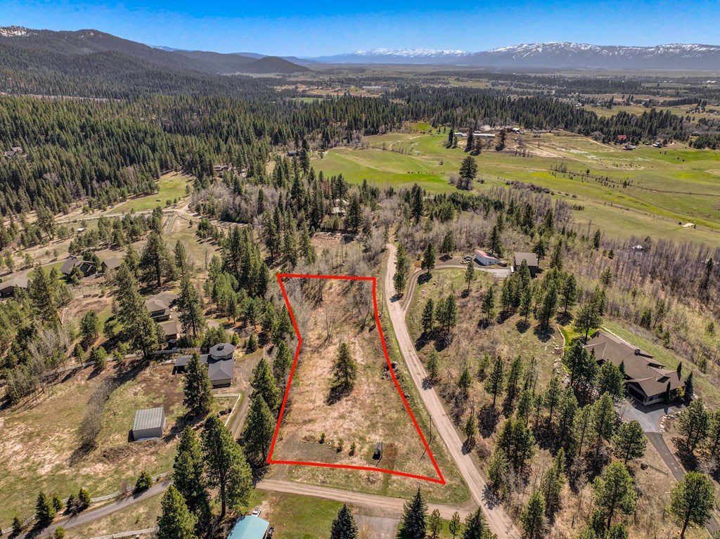 Tbd Morell Road McCall, ID 83638 - Photo 17 of 22