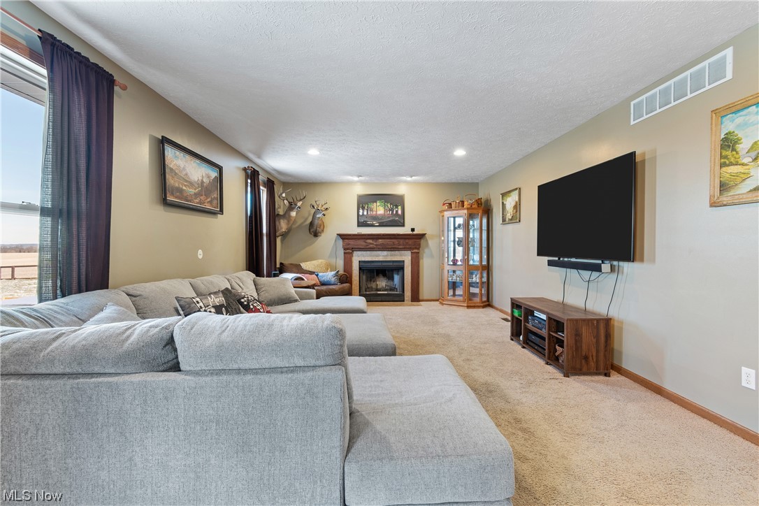 4363 Wile Road Wooster, OH 44691 - Photo 15 of 36 Carpeted living room with a wealth of natural light and a textured ceiling