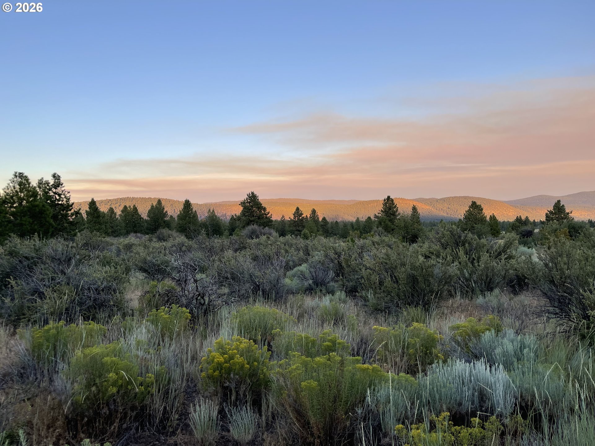 David Street, Unit 1 Chiloquin, OR 97624 - Photo 4 of 15