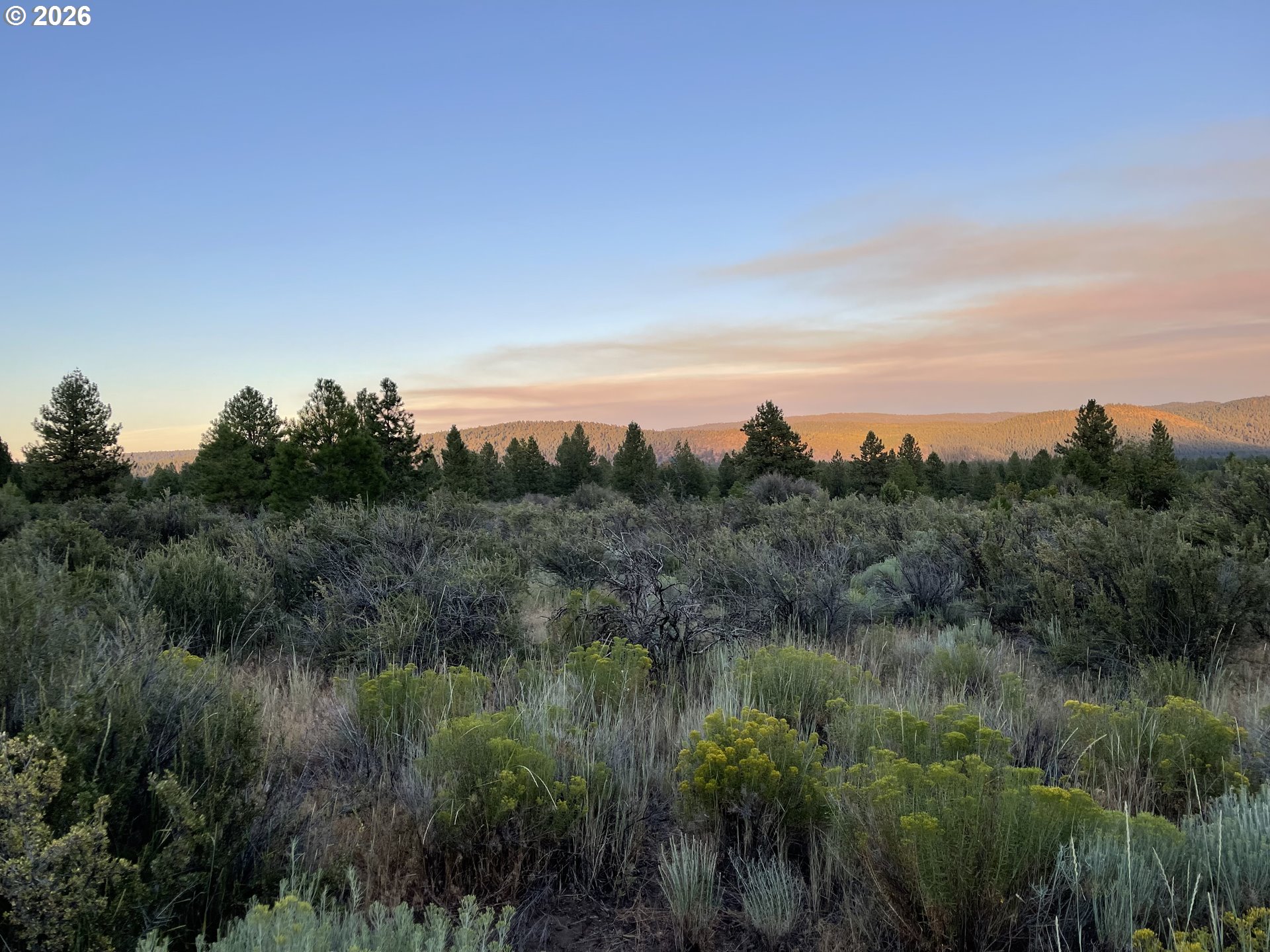 David Street, Unit 1 Chiloquin, OR 97624 - Photo 5 of 15